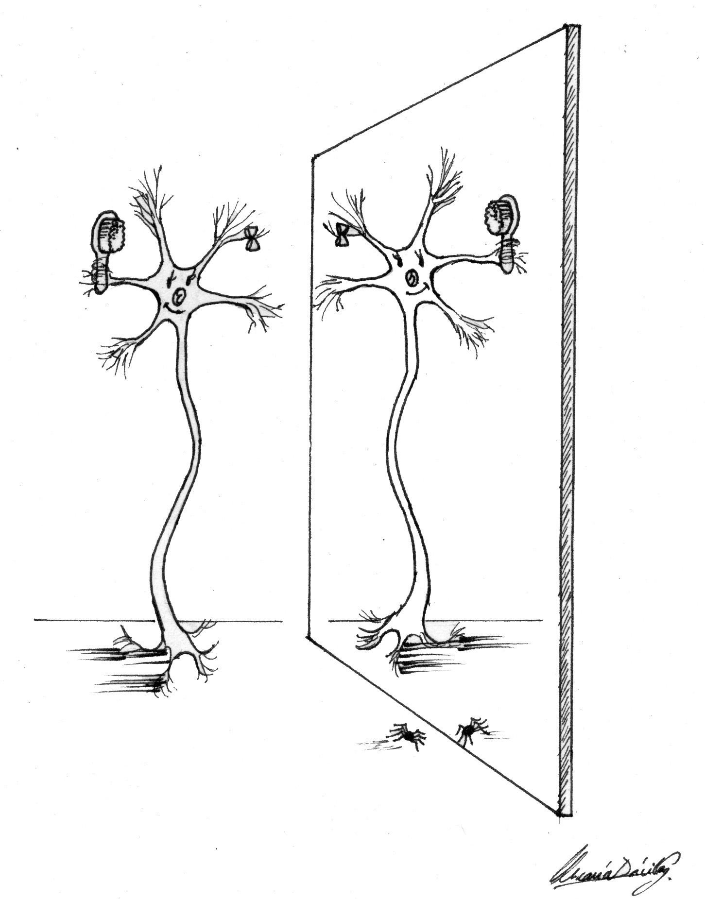 Neuronas espejo